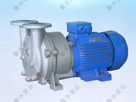 2BV水環式真(zhen)空泵